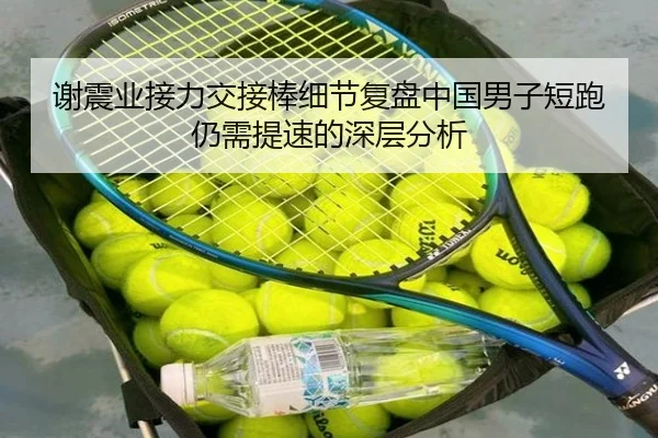 谢震业接力交接棒细节复盘中国男子短跑仍需提速的深层分析